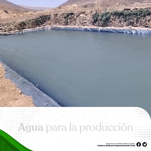 ARTES PUBLICITARIOS REDE SOCIALES PROSOL ARTE WEB