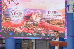 Festival de Vinos y Singanis