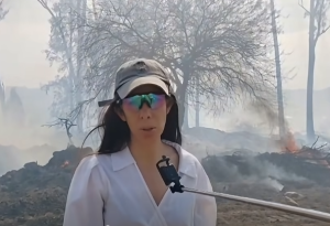Gobernación moviliza equipos ante cuatro incendios
